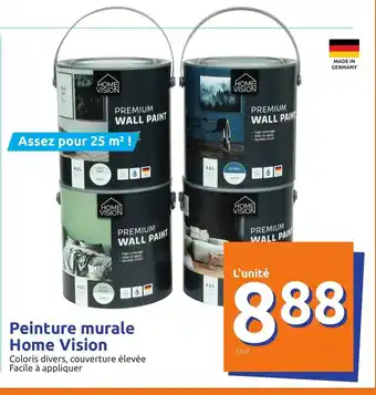 Peinture Murale Home Vision