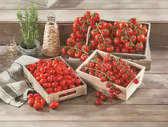 Super U TOMATE COCTAIL EN GRAPPE SAVEOL SANS PESTICIDES offre