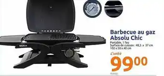 Action Barbecue Au Gaz Absolu Chic offre