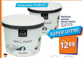 Action Peinture Murale Home Vision offre
