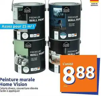 Action Peinture Murale Home Vision offre