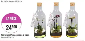 Casino Supermarchés Terranium Phalaenopsis 2 tiges offre