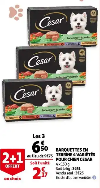 Auchan Cesar barquettes en terrine 4 variétés pour chien offre