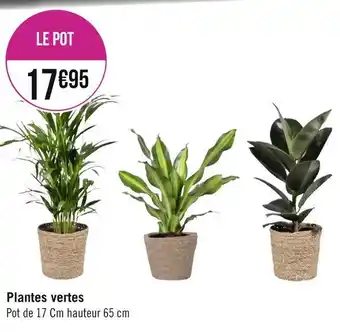Géant Casino Plantes vertes offre