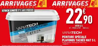 Brico Cash Variatech Peinture Spéciale Plafonds Tachés Mat 5L offre