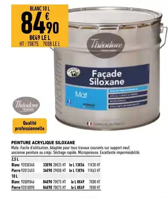 Brico Cash Peinture Acrylique Siloxane offre