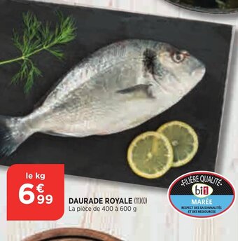 Bi1 Daurade Royale offre