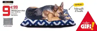Gifi Matelas pour chien offre