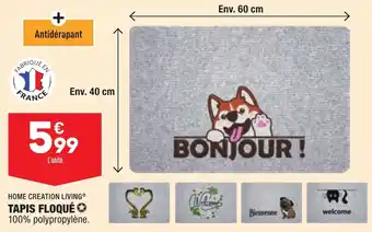 ALDI HOME CREATION LIVING tapis floquê offre