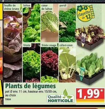Norma Plants De Légumes Qualité Horticole offre