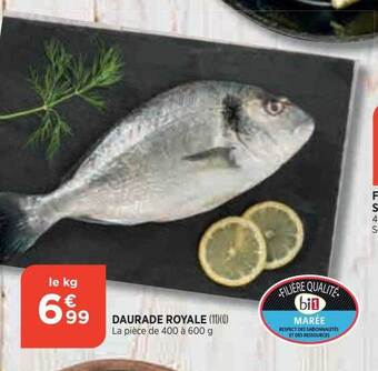 Bi1 Daurade Royale offre