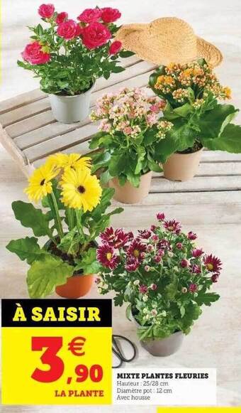 Hyper U Mixte Plantes Fleuries offre