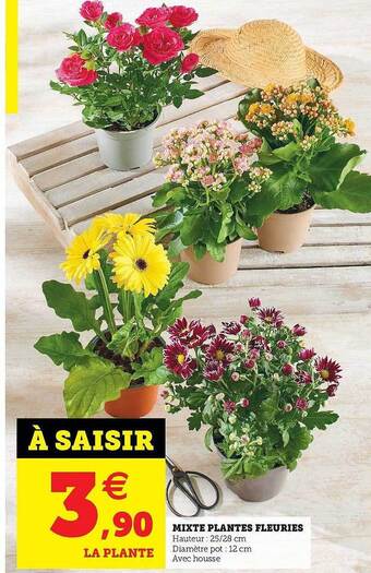 Super U Mixte Plantes Fleuries offre