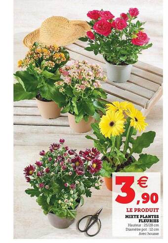 U Express Mixte Plantes Fleuries offre