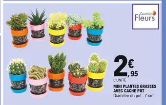 E.Leclerc Mini Plantes Grasses Avec Cache Pot offre