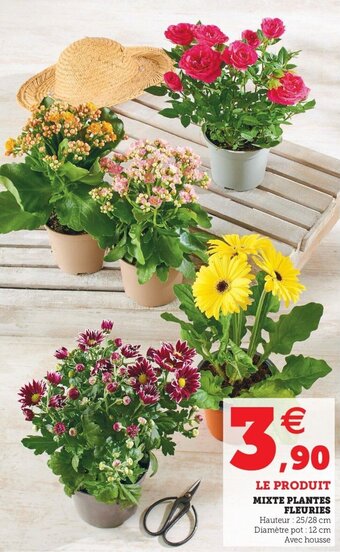 Super U Mixte plantes fleuries offre
