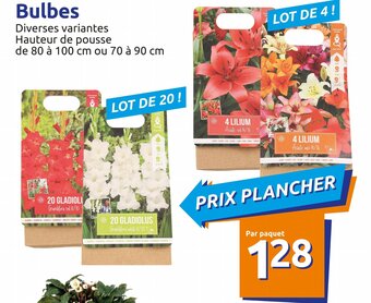 Action Bulbes offre