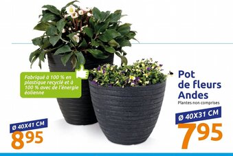 Action Pot De Fleurs Andes offre