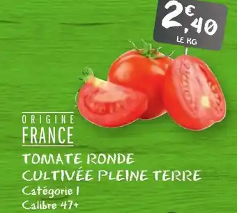 G20 Tomate ronde cultivée pleine terre offre