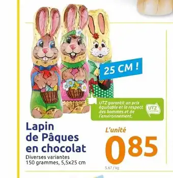 Action Lapin De Pâques En Chocolat offre