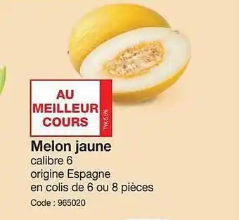 Melon Jaune