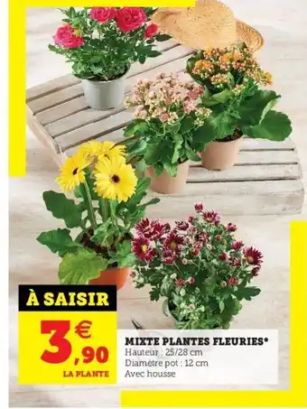Hyper U Mixte Plantes Fleuries offre