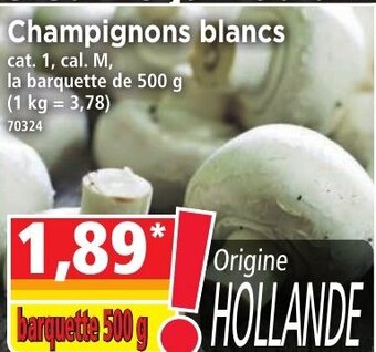 Norma Champignons Blancs offre