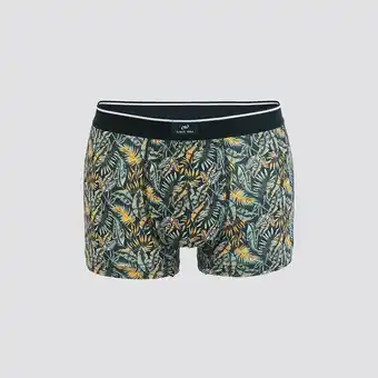 Boxer fantaisie microfibre