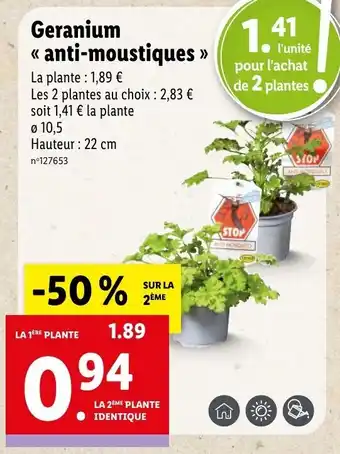 Lidl Geranium Aintu-Moustiques offre