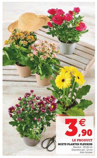 Super U Mixte Plantes Fleuries offre