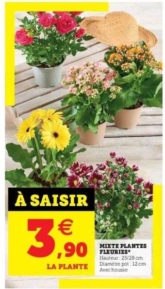 Super U Mixte Plantes Fleuries offre