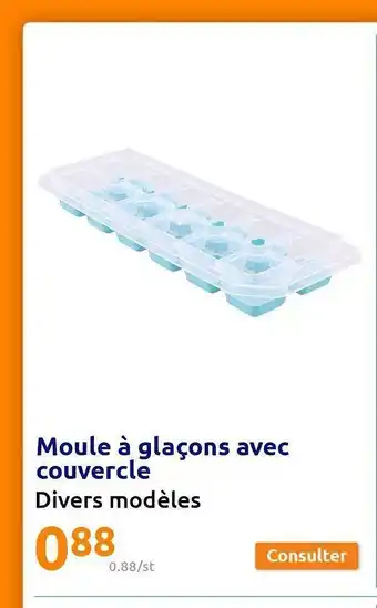 Action Moule à Glaçon Avec Couvercle offre