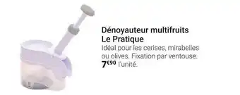 Dénoyauteur Multifruits Le Pratique