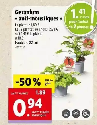Lidl Geranium «anti-moustiques» offre