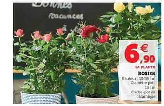 U Express Rosier offre