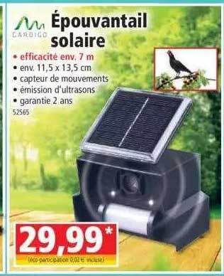 Norma Gardigo épouvantail Solaire offre
