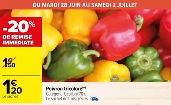 Poivron tricolore
