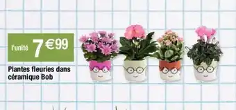 Plantes Fleuries Dans Céramique Bob