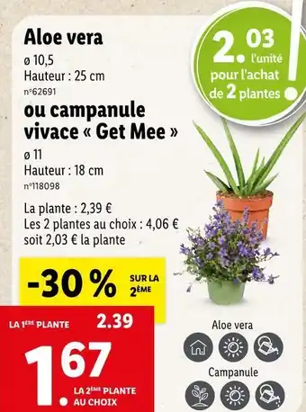 Lidl Aloe vera offre