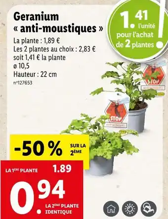 Lidl Geranium anti-moustiques offre