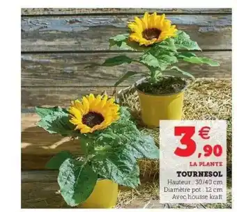 Super U Tournesol offre