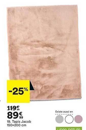 BUT Tapis Jacob offre