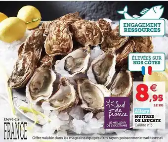 Super U Allary Huitres De Leucate offre