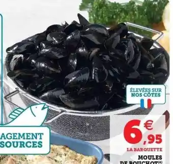 Moules De Bouchot