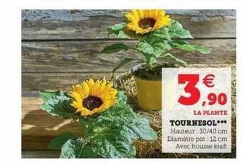 Hyper U Tournesol offre