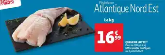 Auchan Queue de lotte offre