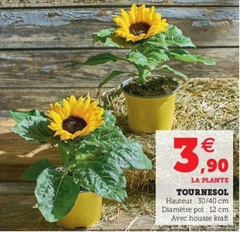 U Express Tournesol offre