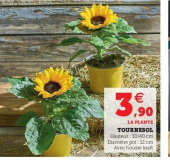 Super U Tournesol offre