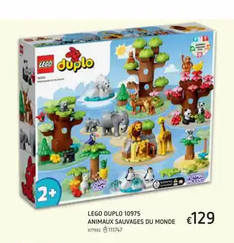 Dreamland Lego Duplo Animaux Sauvages Du Monde offre