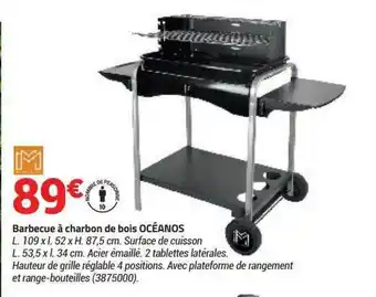 Bricorama Barbecue à Charbon De Bois Océanos offre